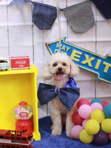 20230411リコちゃん